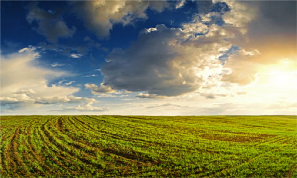 USDA Policy Fails to Address GMO Contamination of Organic Crops