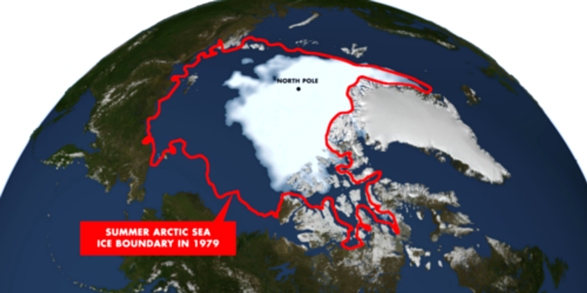 U.S. Calls for Commercial Fishing Ban In Arctic As Sea Ice Melt Opens ...