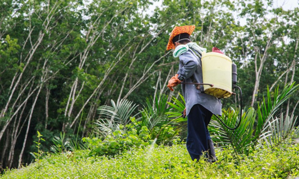 Study Connects Monsanto's Roundup to Fatal Kidney Disease Epidemic
