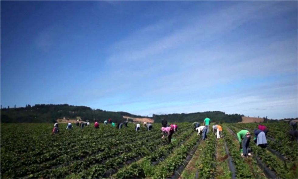 10 Best Sustainable Food and Farming Documentaries: Vote for Your Favorite