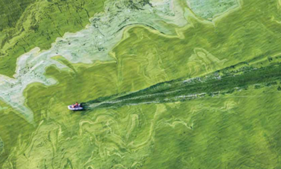 International Panel Recommends Nutrient Diet to Battle Toxic Algal Blooms in Lake Erie
