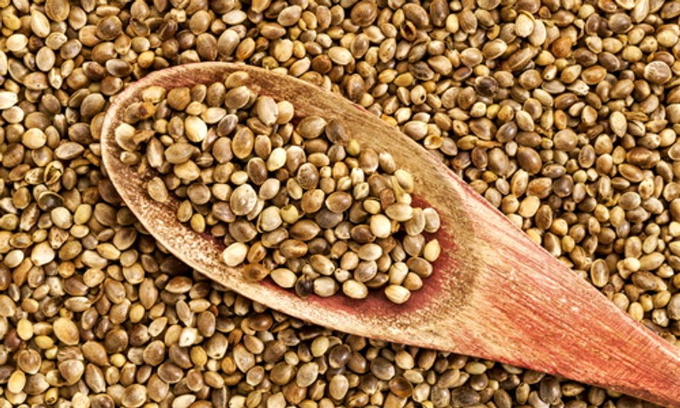 The New Superfood: Dr. Oz, Dieticians Tout Hemp's High Nutritional Value