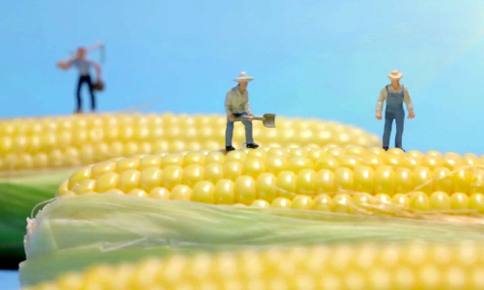 Family Farmers + You = A Well Nourished World
