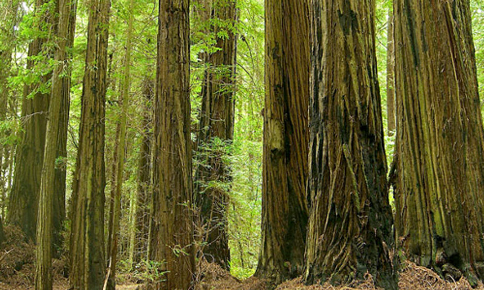 13 Movies That Showcase the Great Outdoors