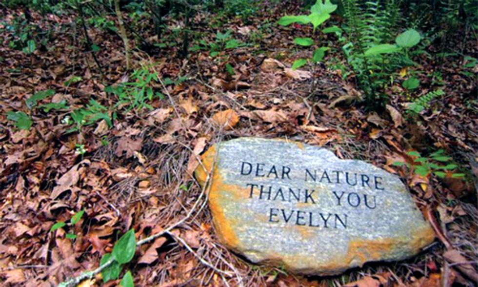 Documentary Spotlight: A Will for the Woods
