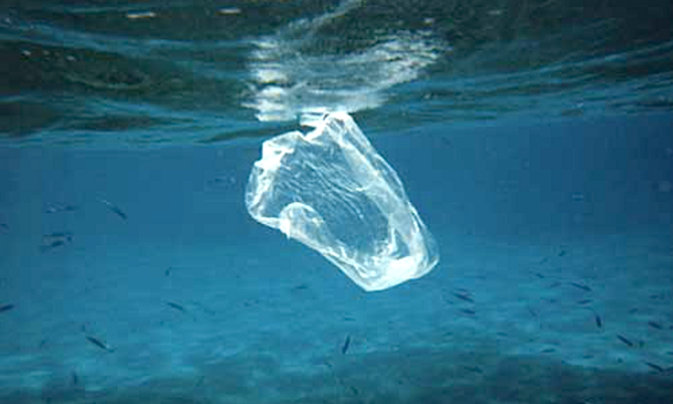 100th Plastic Bag Ban Passed in California