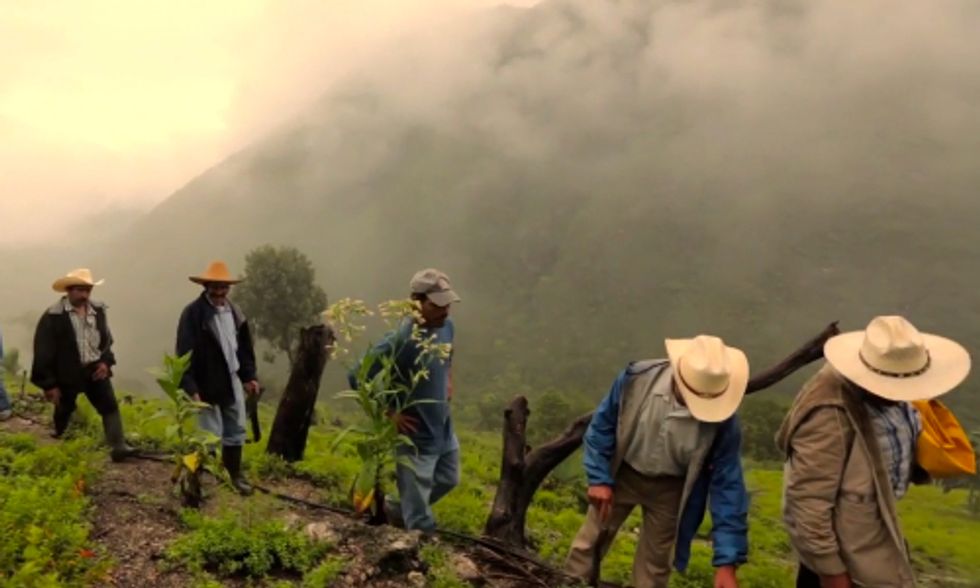 And the Winner is ... for Best Sustainable Food and Farming Documentary