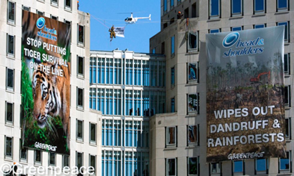 Breaking: 9 Arrested After Death-Defying Protest of P&G's Use of Palm Oil