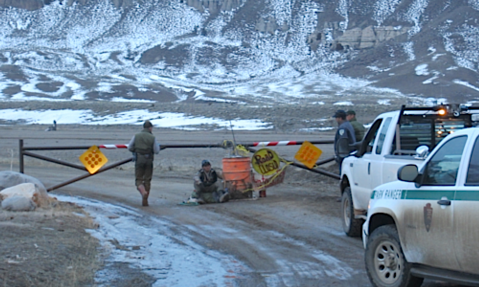 Man Risks Arrest Blocking Road That Leads Yellowstone Bison to Slaughter