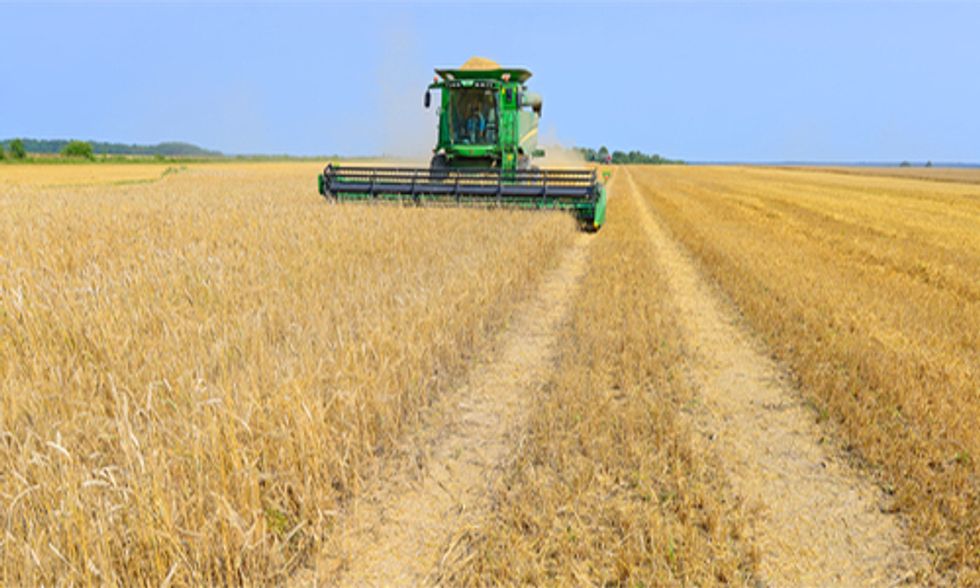 Homogenous Global Food Supply Will Make Us Fat and Sick