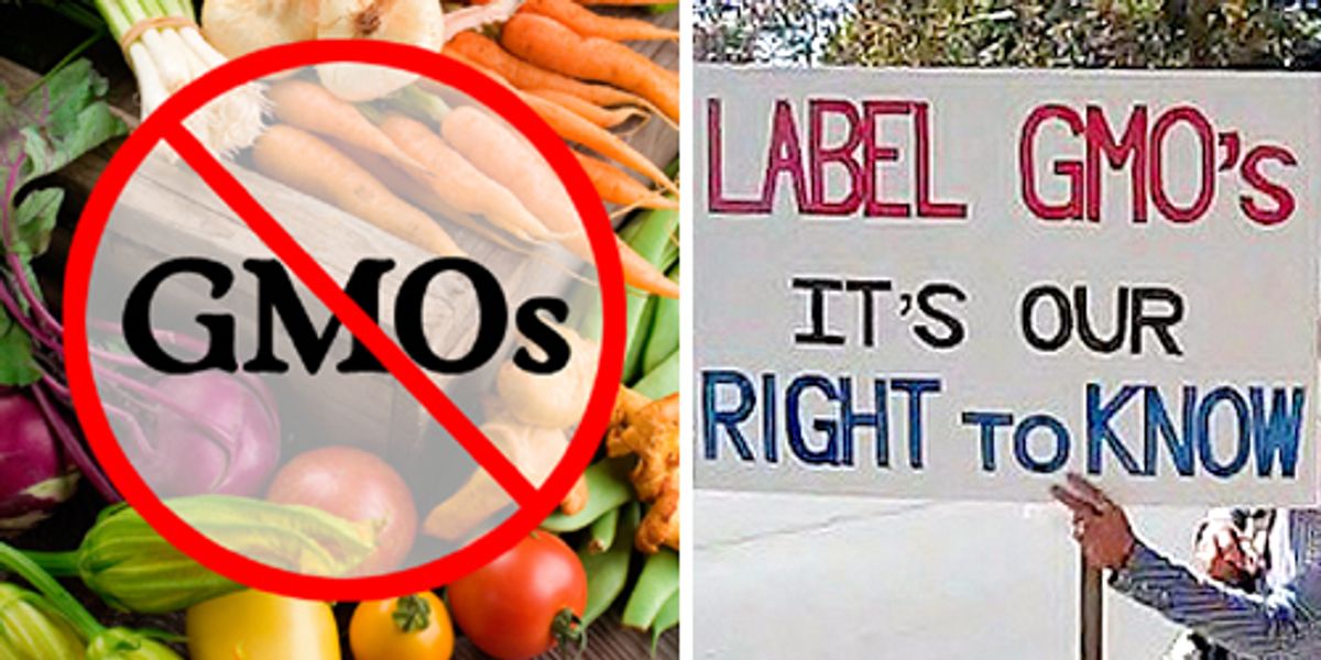 GMOs: Ban Them or Label Them? - EcoWatch