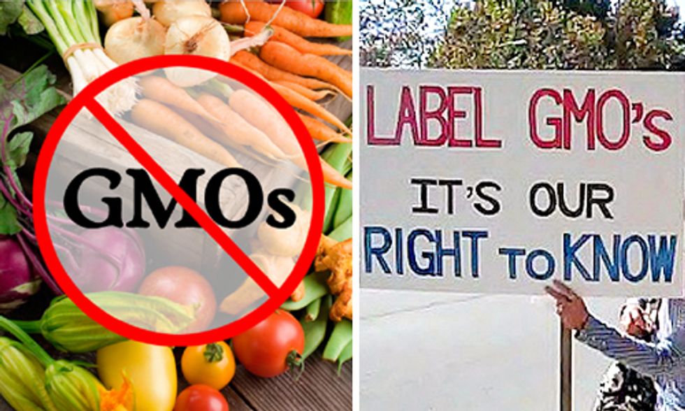 GMOs: Ban Them or Label Them?