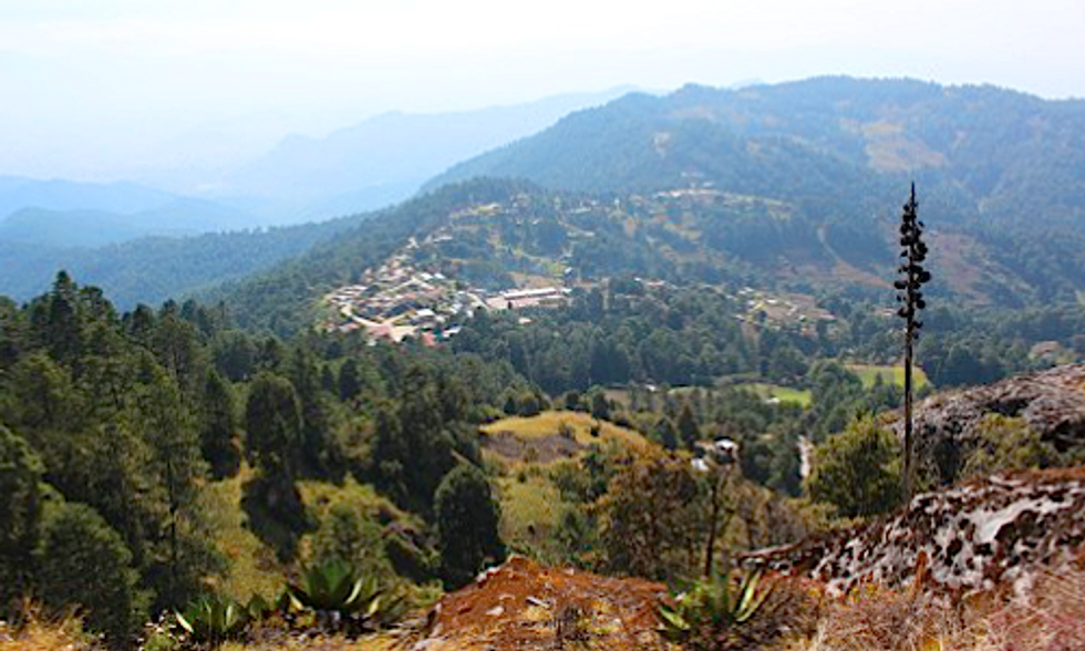 Sustainable Forest Management Improves Indigenous Communities in Southern Mexico