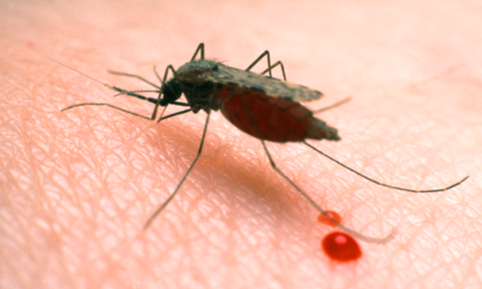 Evidence Shows Warming Climate Will Worsen Malaria Epidemic