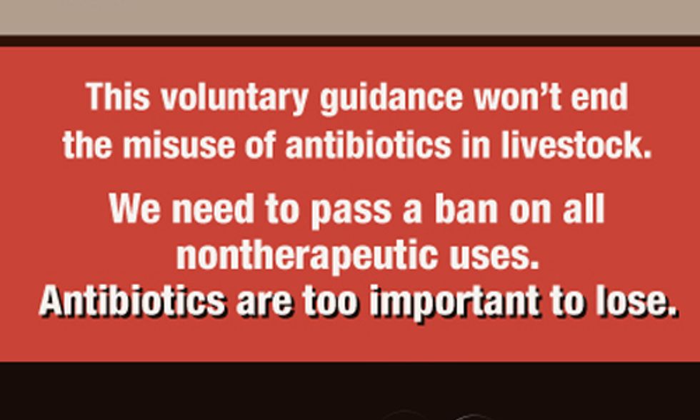 FDA Regulation of Antibiotics Use on Factory Farms Proves Worthless