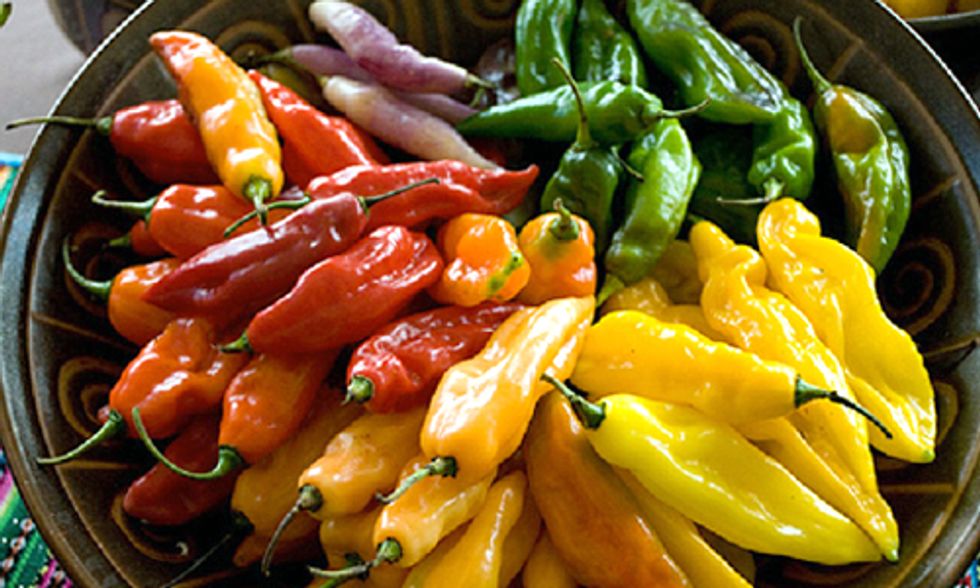 10 Projects Reinvigorating Farming and Culinary Traditions