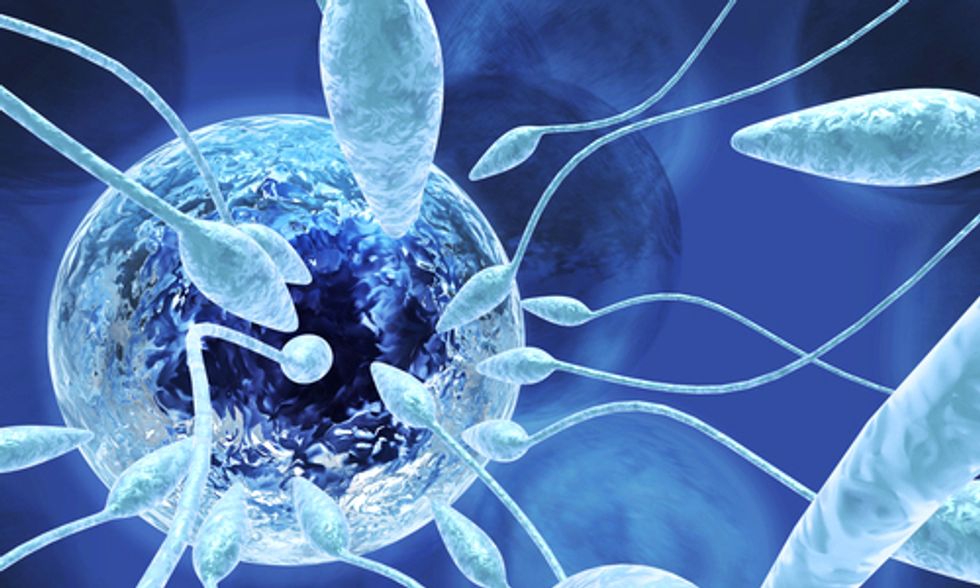 16-Year Study Blames Pesticides for Significant Sperm Decline