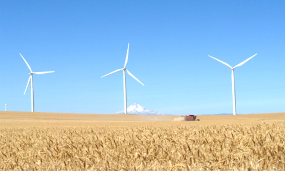 Congressman Declares Wind Tax Credit ‘Dead'