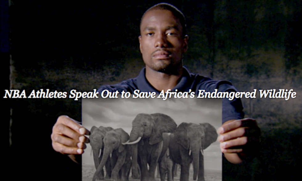 NBA Athletes Launch Campaign Against Ivory and Rhino Horn Poaching