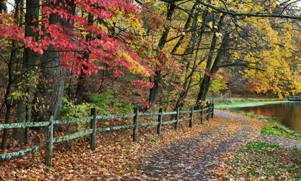 The #1 Way to Improve Your Life? Nature