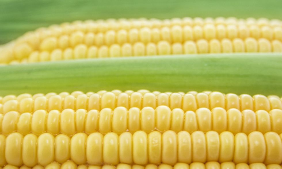 France Stands Up to Monsanto, Bans Seed Giant's GMO Corn
