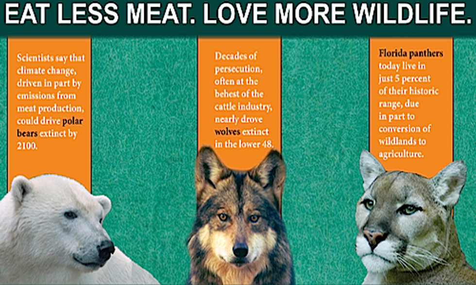 Earth-Friendly Diet Campaign Urges Americans to Eat Less Meat