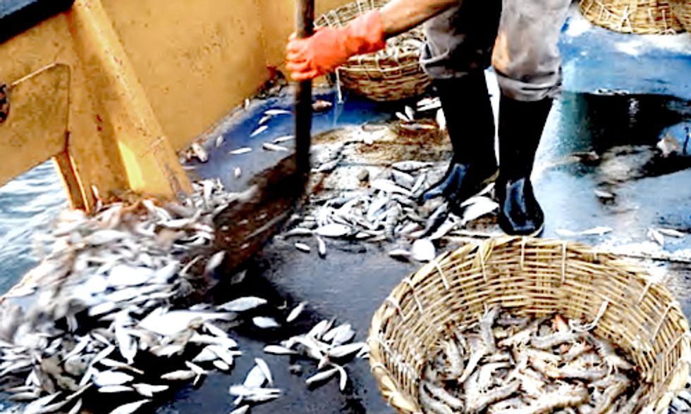 9 of the Dirtiest U.S. Fisheries Exposed