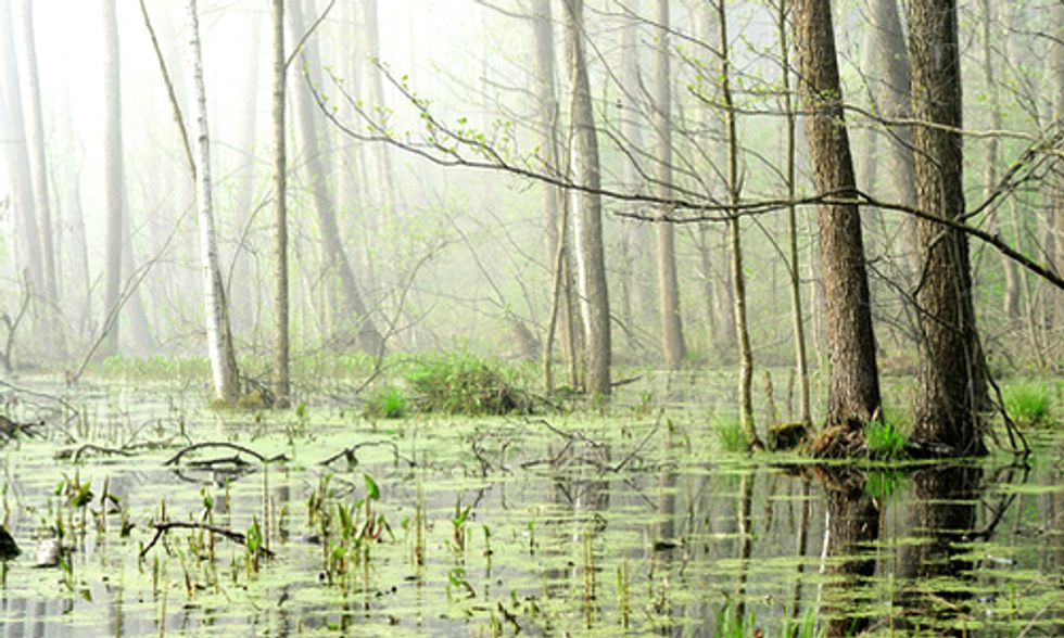 Global Warming Speeds Up Methane Emissions From Freshwater
