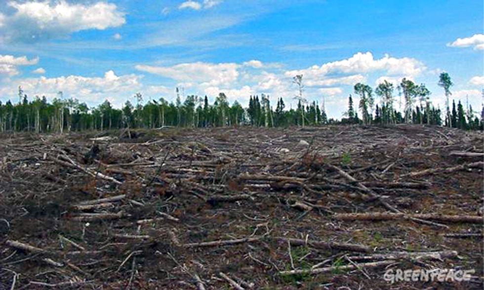5 Deforestation Hotspots Flying Under the Radar