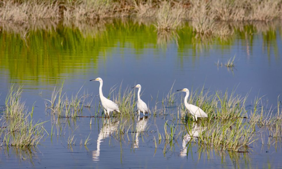 EPA Rule Would Close Loopholes in Clean Water Act, Restore Protections for Streams and Wetlands