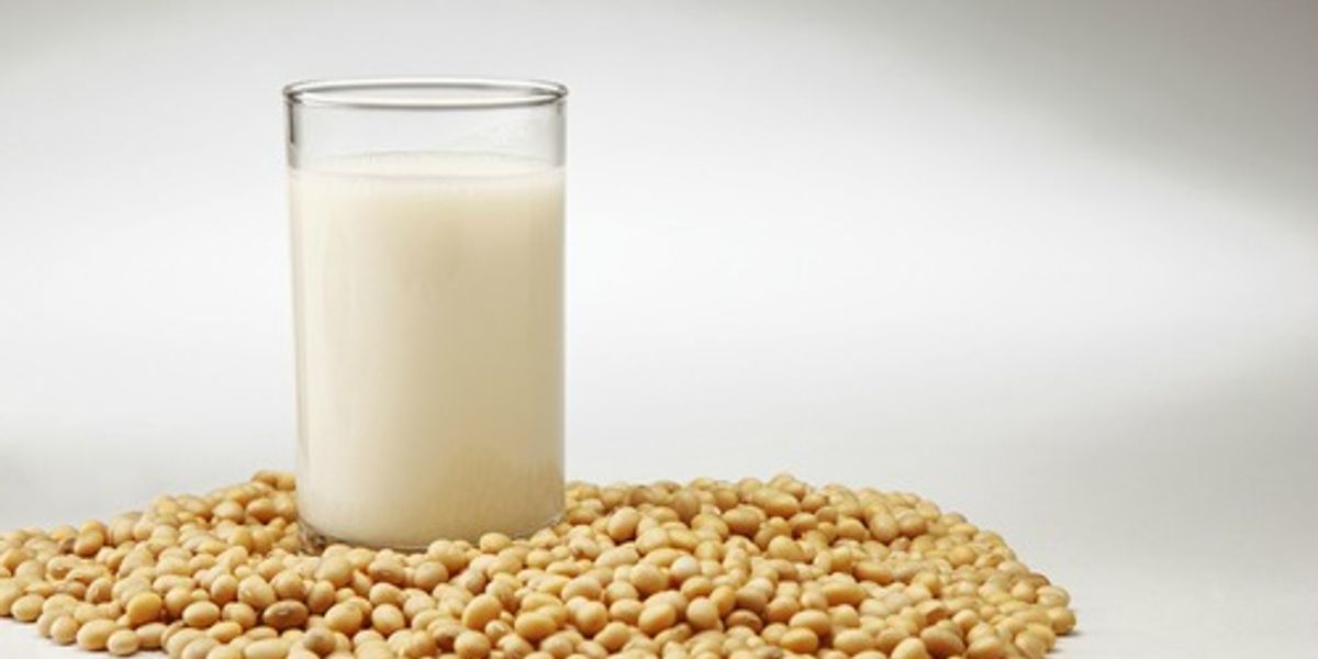 3 Alternatives to Cow's Milk for Kids EcoWatch