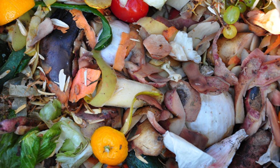 Reducing Food Waste Is Good for Economy and Climate, Report Says