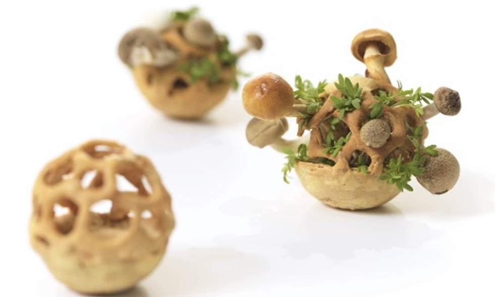Will 3D Printing Be the Next Big Thing for Sustainable Food?