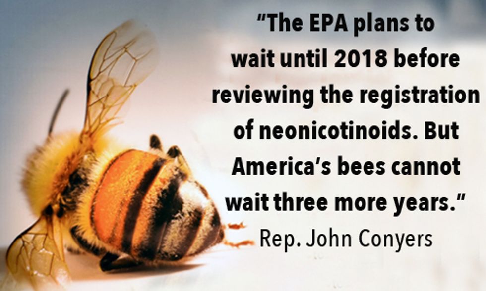 4 Million People Demand Obama Administration to Protect Bees from Toxic Insecticides