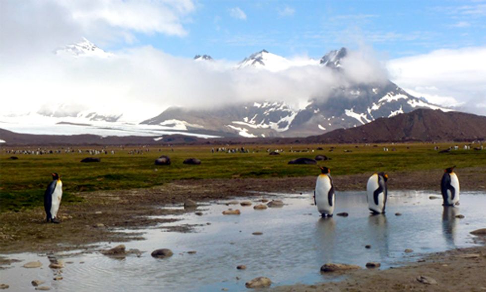 160+ Eco-Films Featured at This Year's Environmental Film Festival