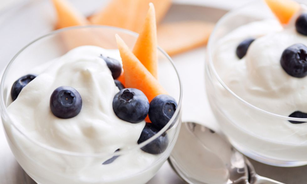 Probiotics 101: Everything You Need to Know