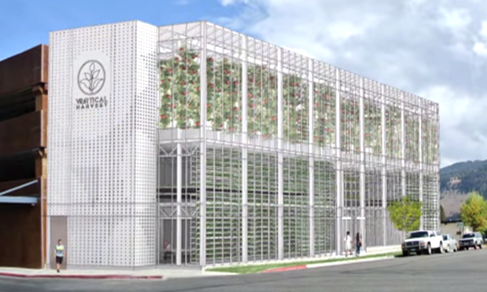 5 Ways Vertical Farms Are Changing the Way We Grow Food