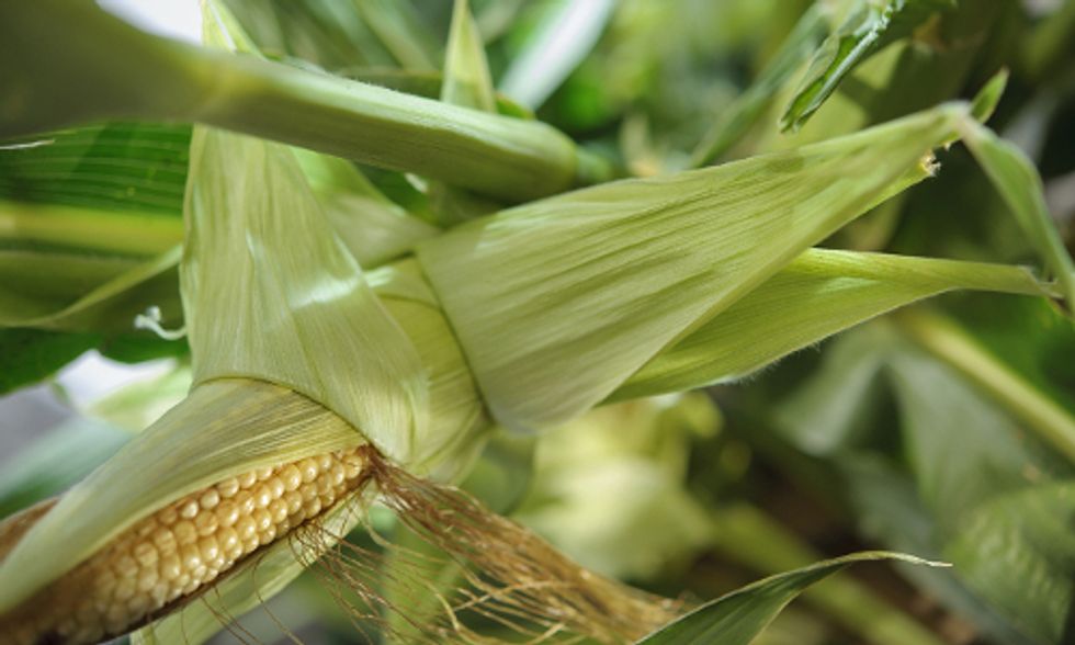GMO Labeling: Nation's 'Biggest Food Fight' Hits DC