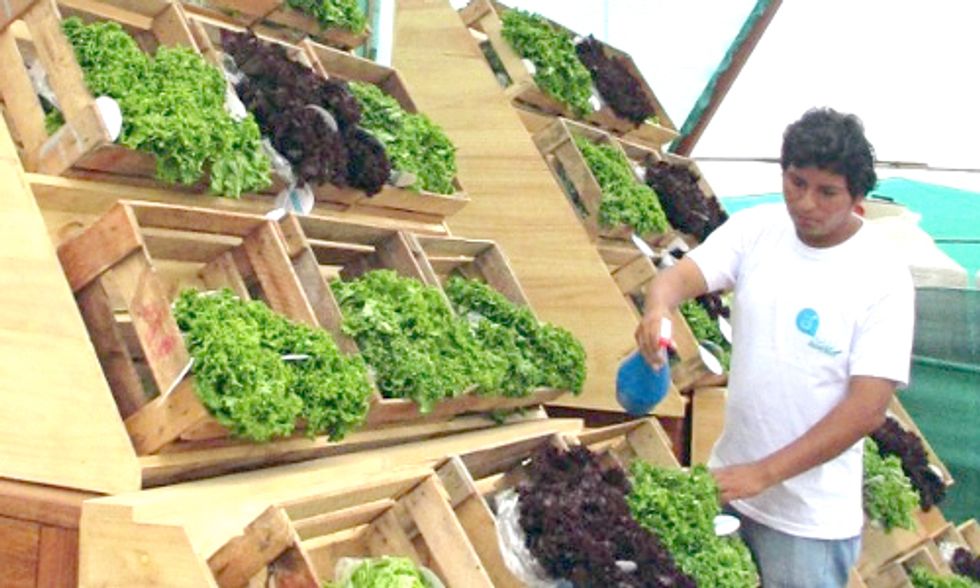 Check Out This Highway Billboard That Grows Organic Lettuce and Generates Drinking Water