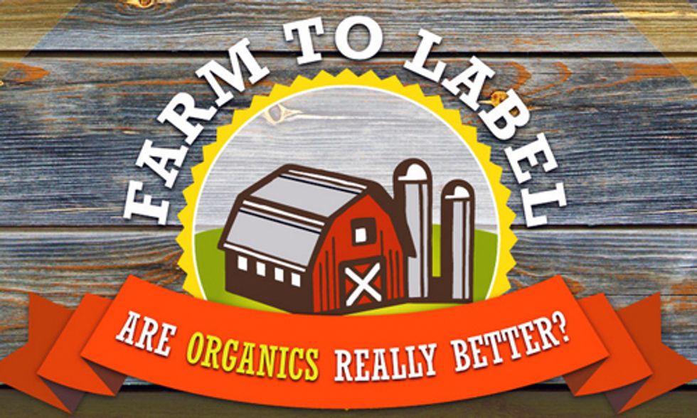 Why You Should Buy Organic Food for You and Your Family
