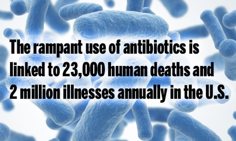 Obama Unveils $1.2 Billion Plan to Fight Superbug Crisis, But Is It Enough?