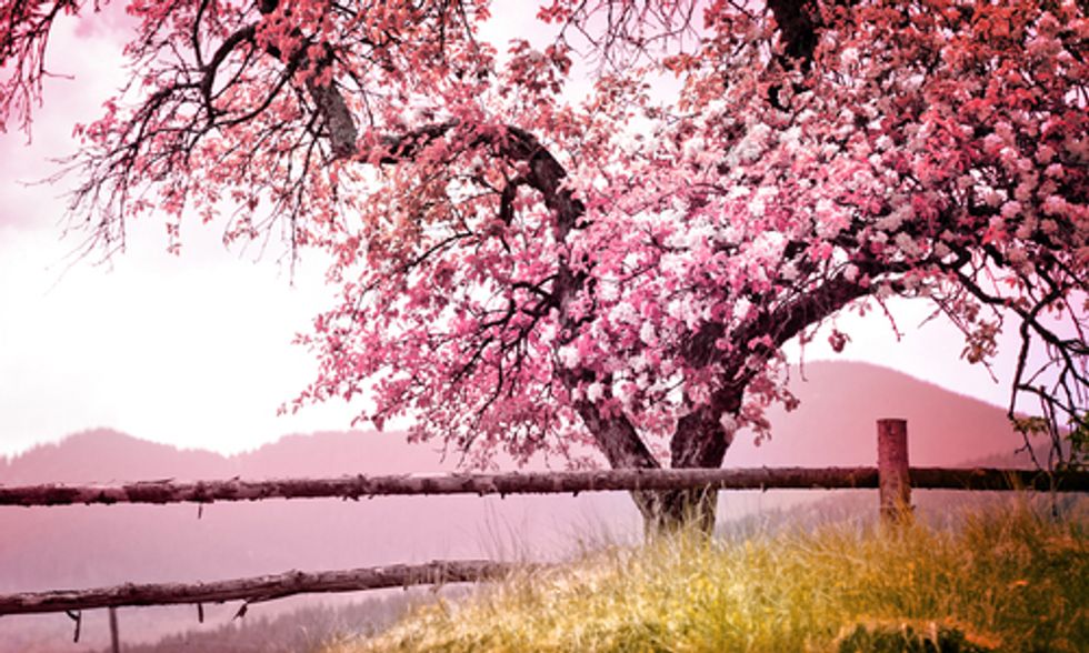10 Reasons to Be Hopeful This Spring