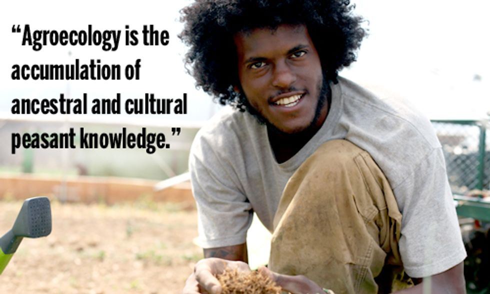 Agroecology: Revolutionizing the Way We Grow Food