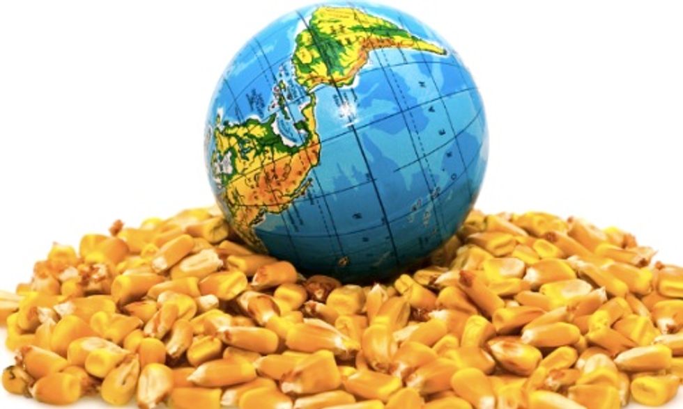 GMOs Will Not Feed the World, New Report Concludes