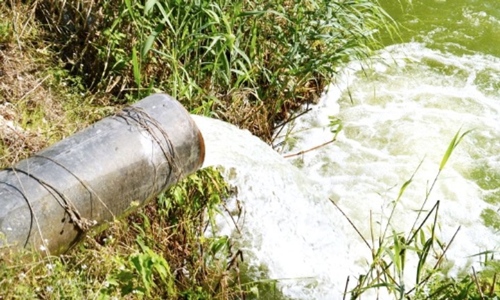 Vitter-Udall Chemical Bill a 'Wolf in Sheep’s Clothing,' Say Advocacy Groups