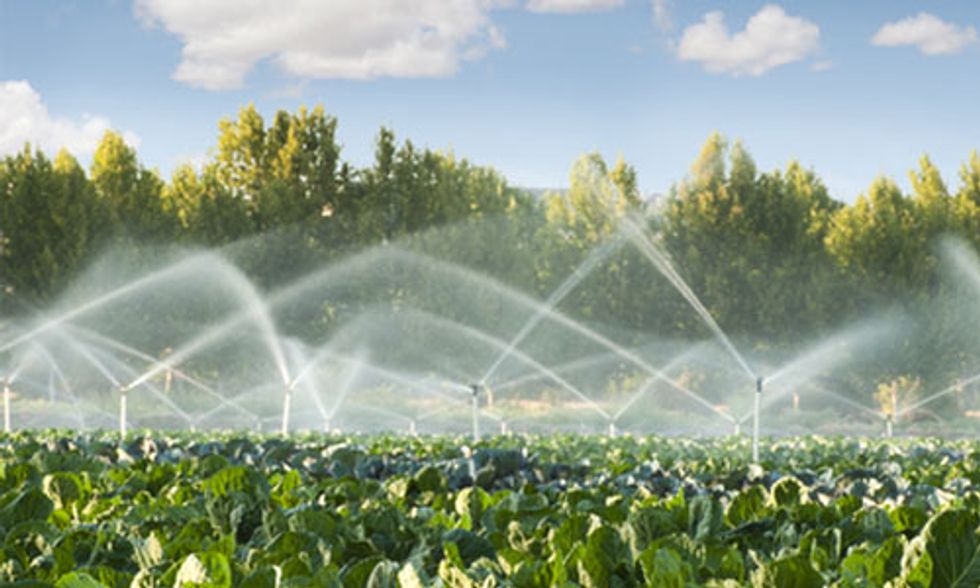 Drought-Stricken California Exempts Big Oil and Big Ag from Mandatory Restrictions