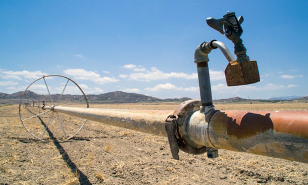 Gloom Does Not Have to Mean Doom for California's Epic Drought