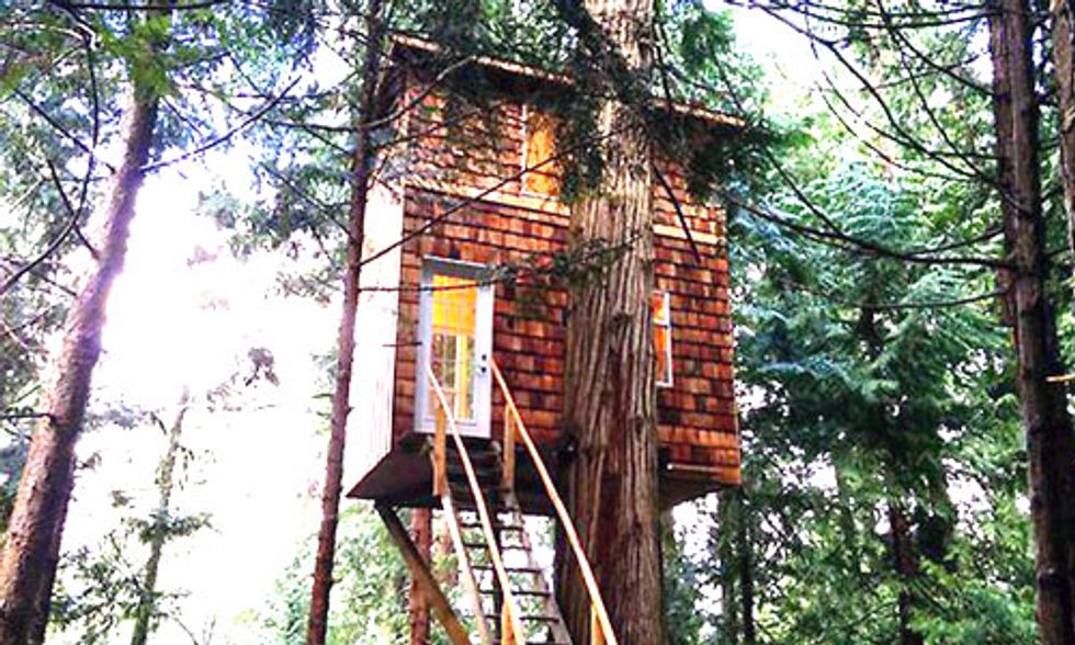 If You've Ever Wanted to Live in a Treehouse, You've Got to Check This Out