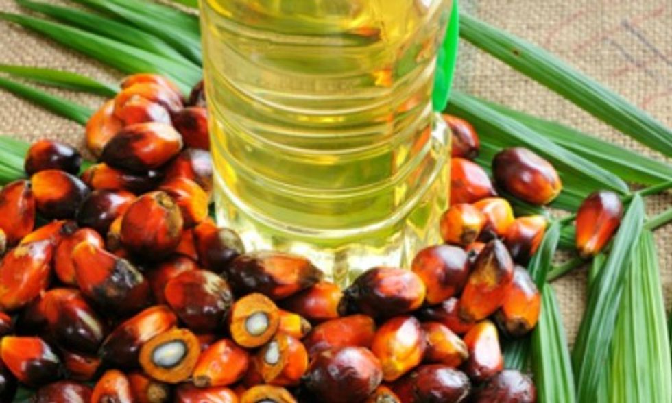 Find Out Which Companies Responsibly Source  Palm  Oil  You 