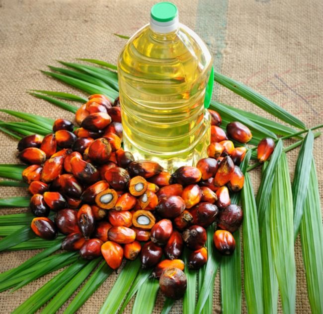 Find Out Which Companies Responsibly Source Palm Oil (You Might Be ...